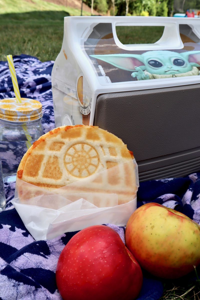 Star Wars Summer Picnics with Igloo Coolers Popcorner Reviews