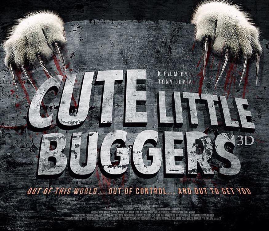 We're Bringing "Cute Little Buggers" To Your Attention Just Because Of