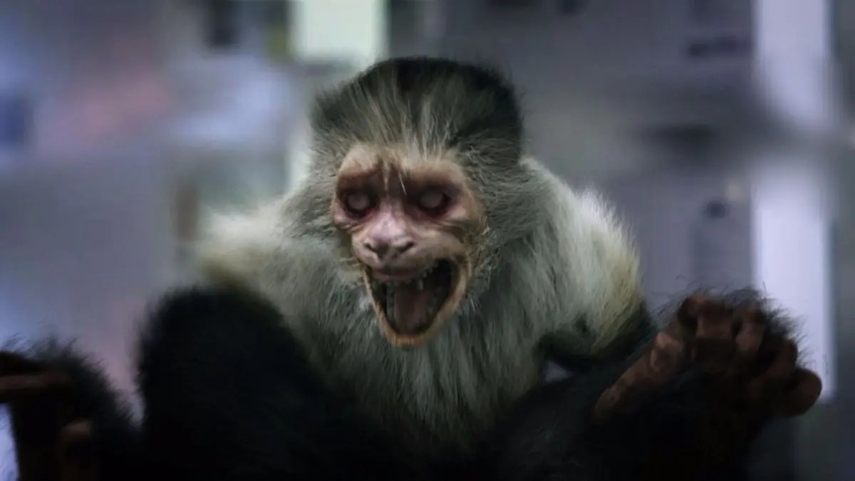 Pop Geeks Reviews The Asylum’s Zoombies