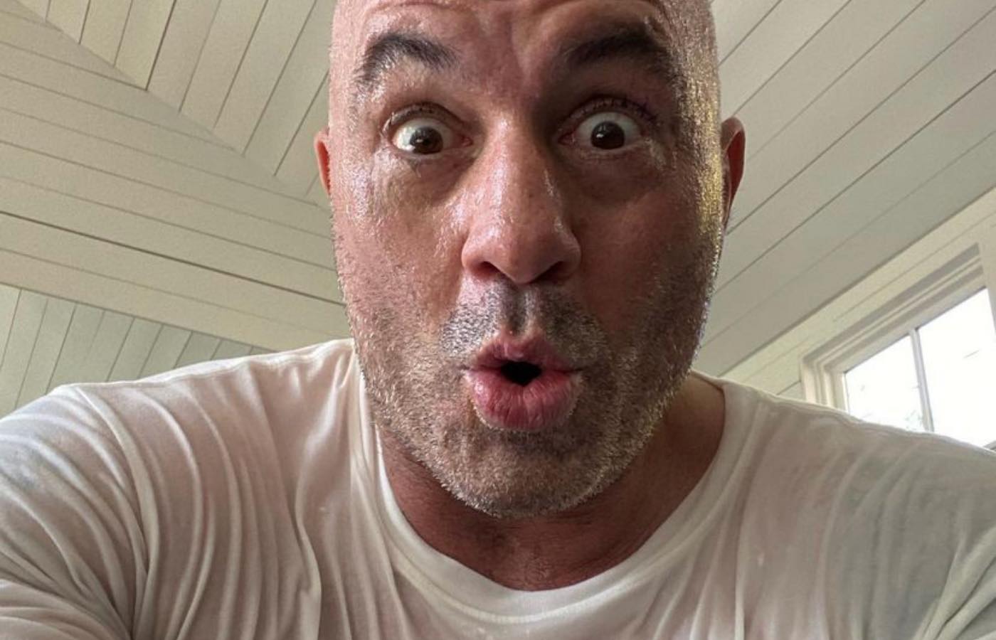 Joe Rogan Gets Trolled in Sywriting Marriage Proposal Message Making