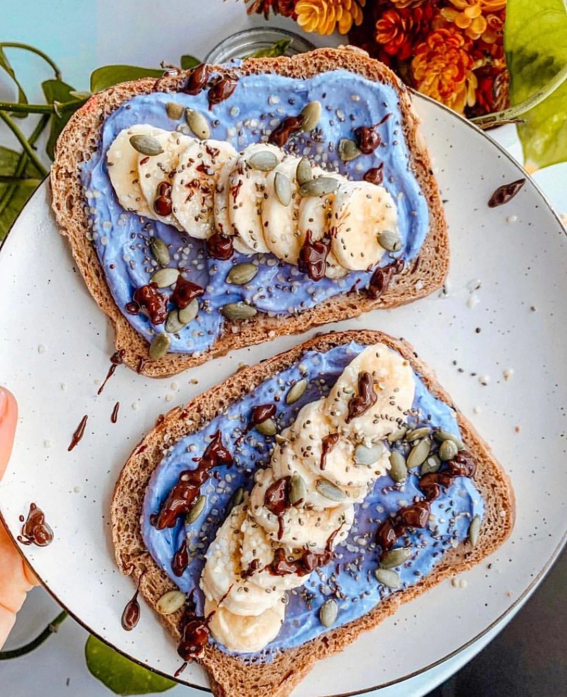 Blue Spirulina POPJOY, blue spirulina powder, pink pitaya, activated charcoal, rainbow latte