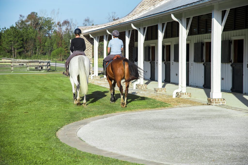 Learn more about Poplar Grove's Equestrian Center Southeastern