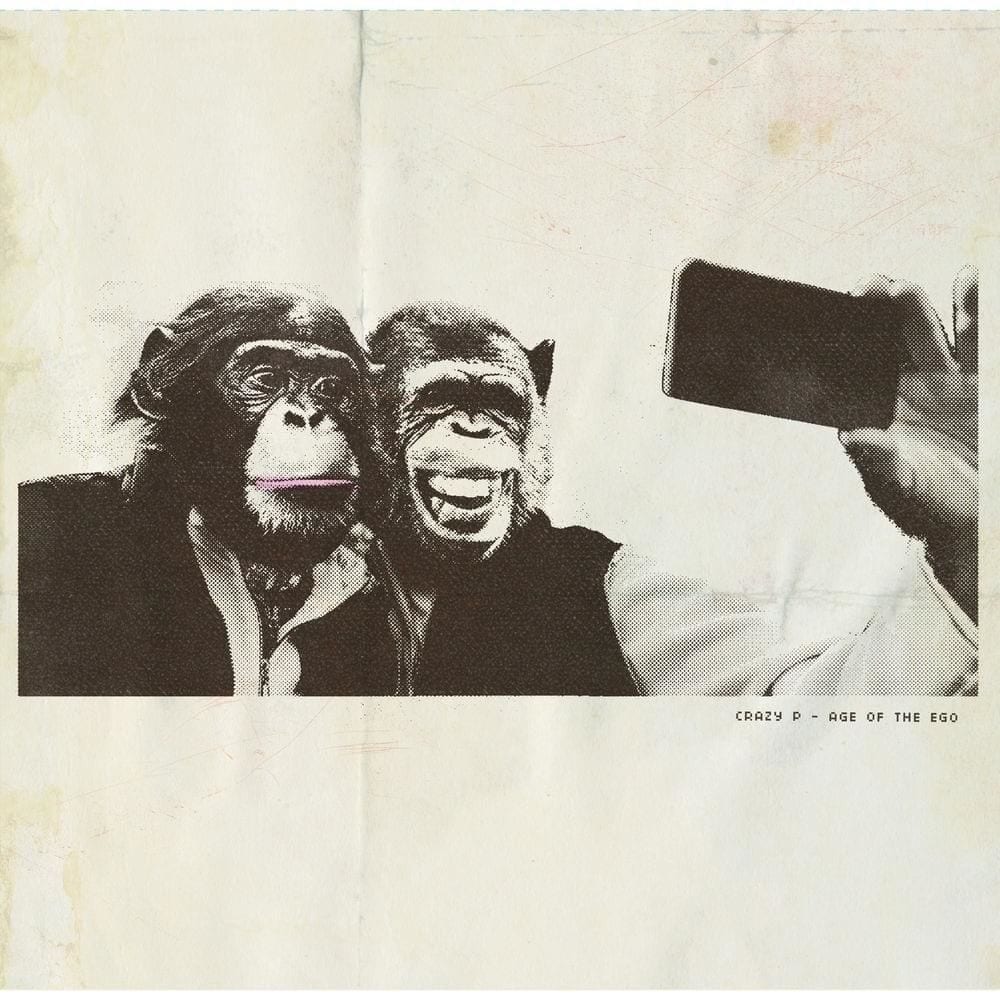 The 12 Best Pop Albums of 2019 PopMatters