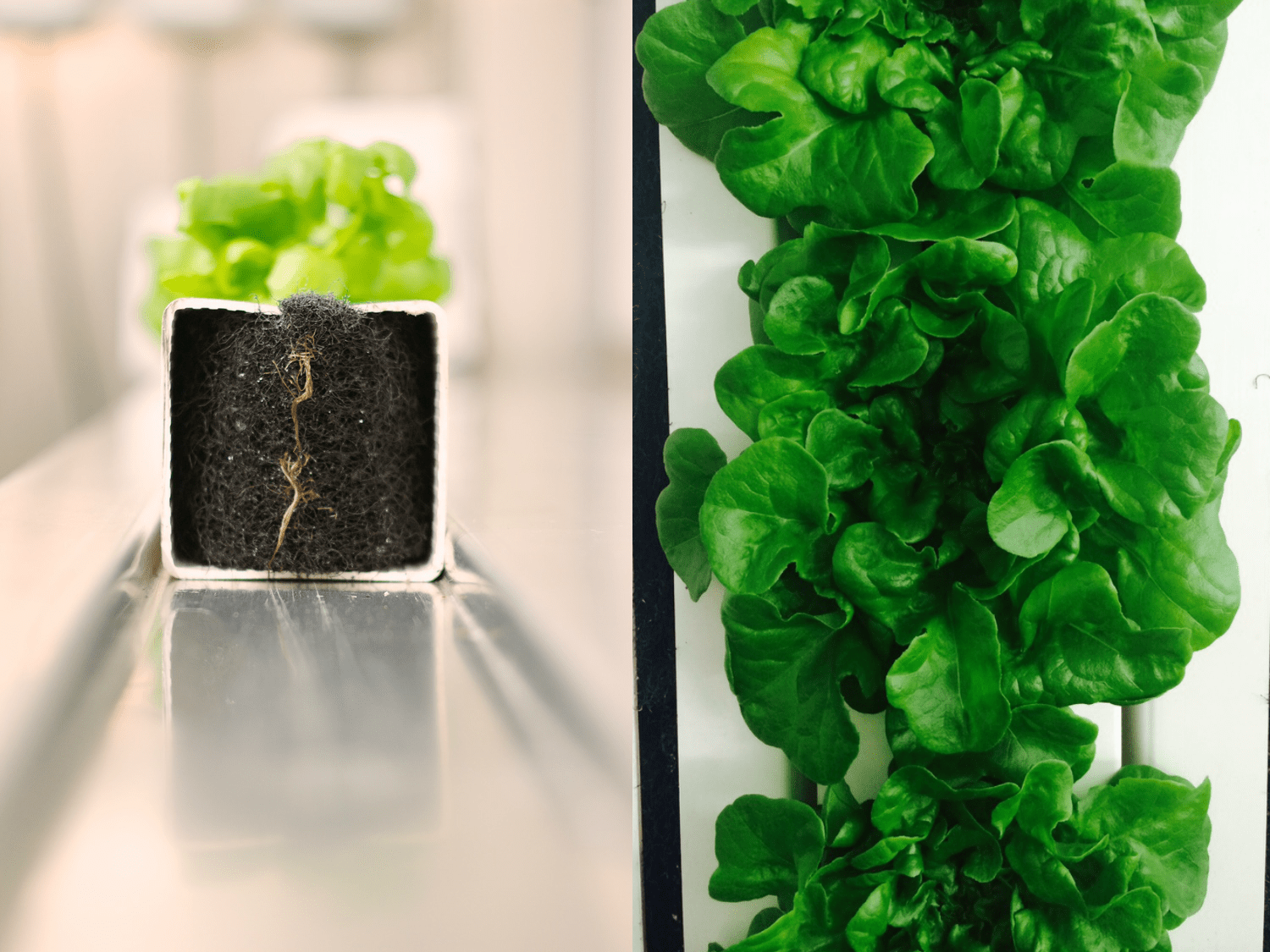 Freight Farms Leafy Green Machine Popmule