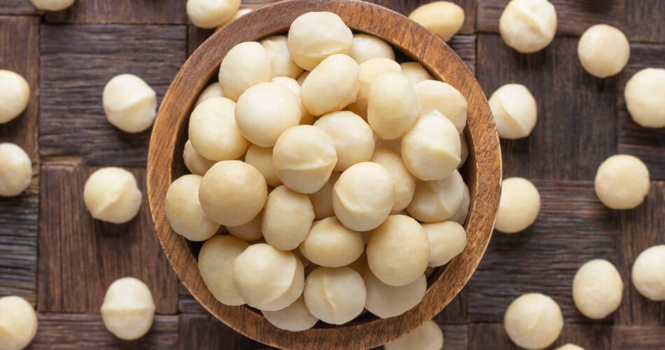 Orzechy makadamia wartości odżywcze i właściwości PPZ