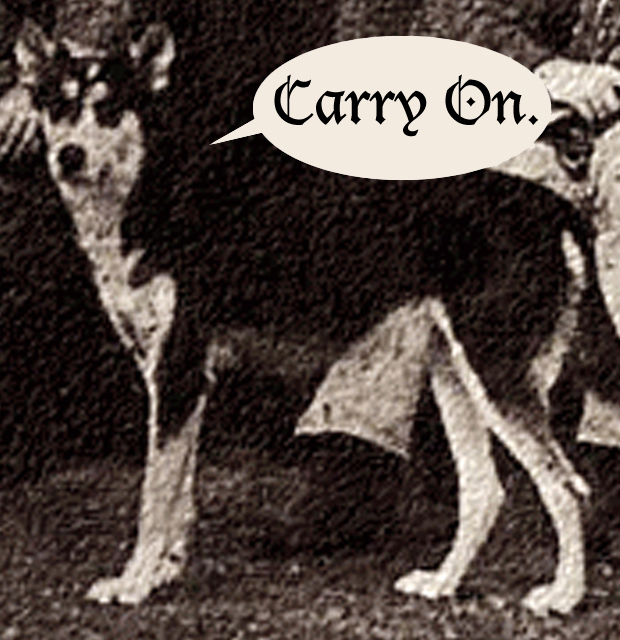 Déjà Vu 1970 Album Cover Location PopSpots