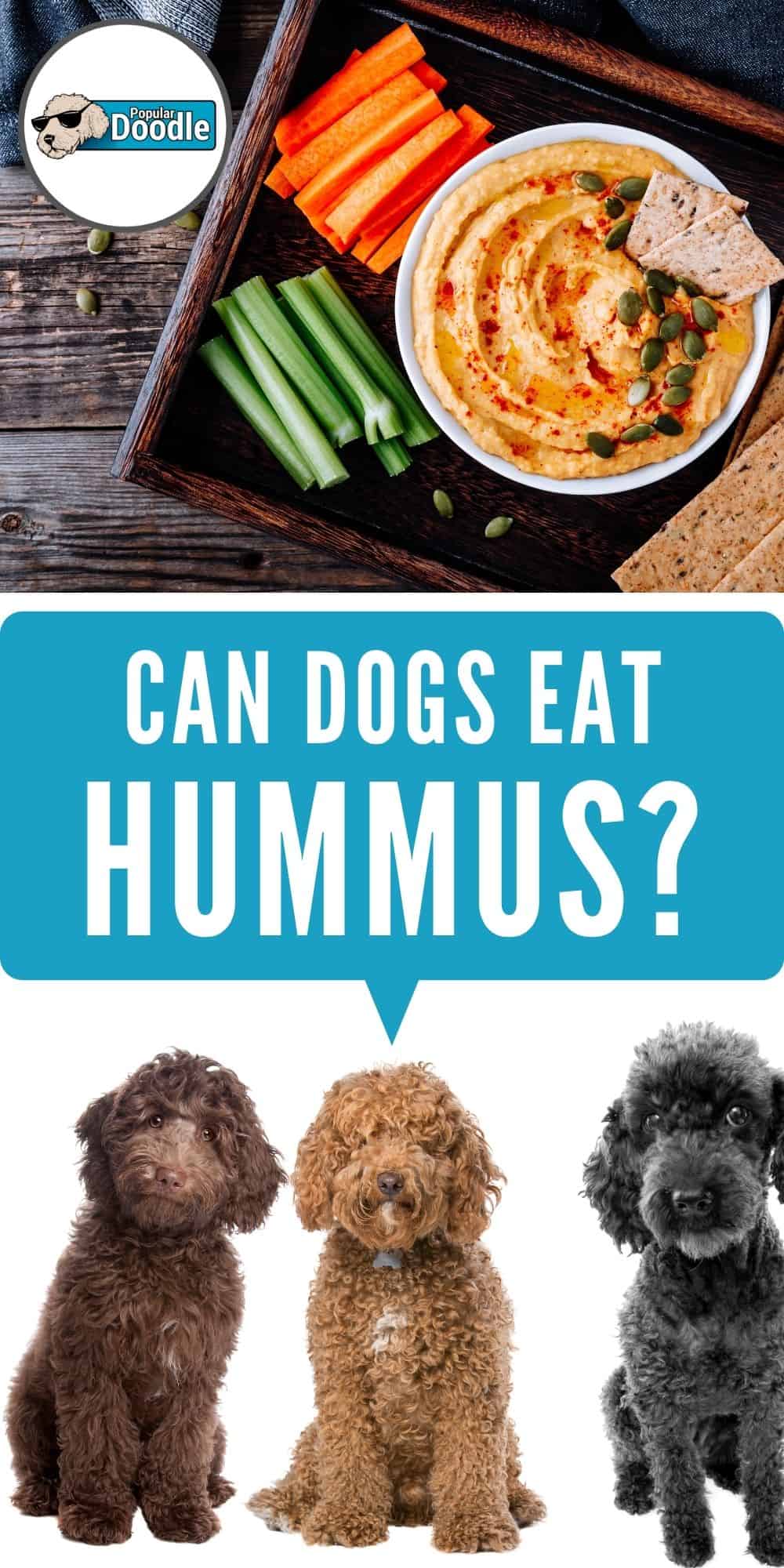 Can Dogs Eat Hummus? Is Hummus Okay for Dogs?