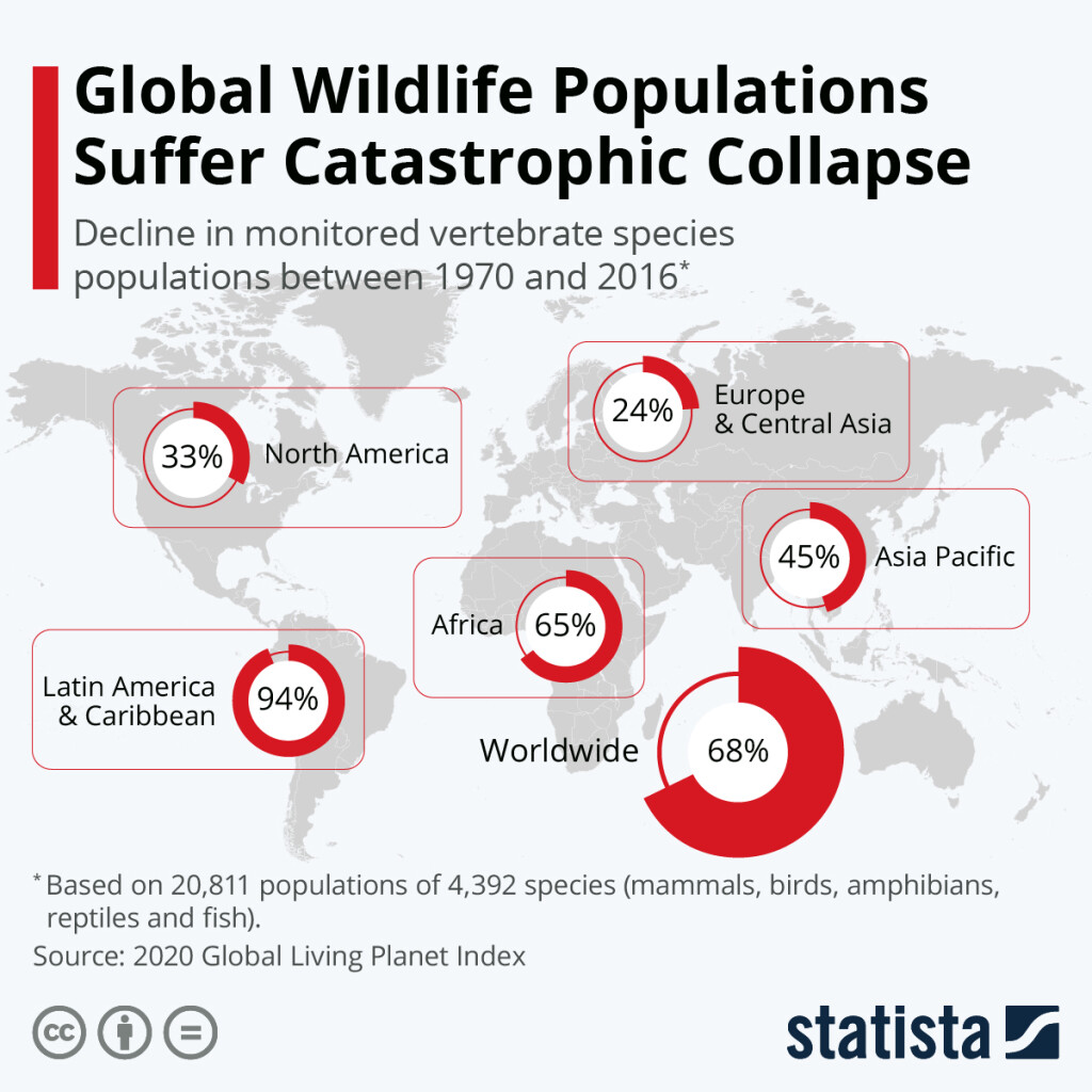 The Dramatic Decline of Earth’s Biodiversity Population Growth Human Rights, the Economy