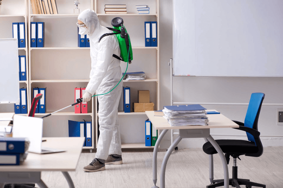 Why Is It Crucial to Clean Schools and Colleges with Professional