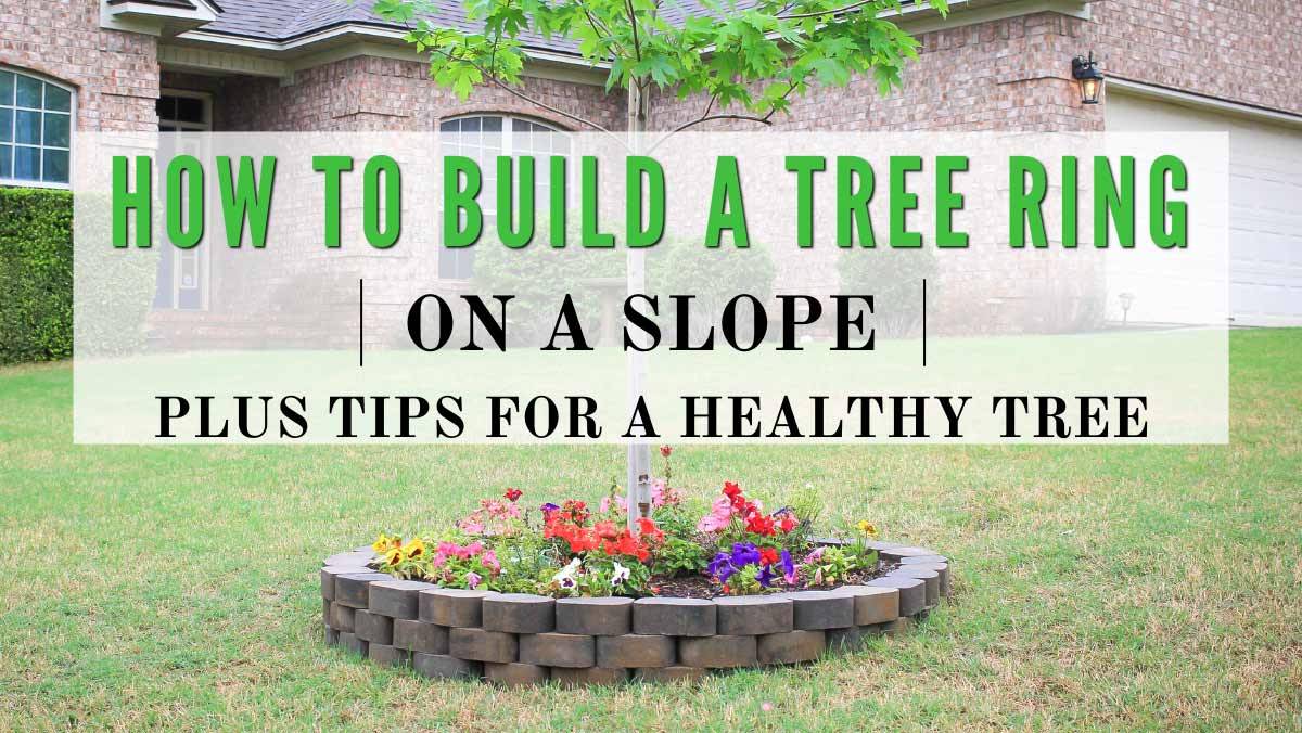 How To Build a Tree Ring On a Slope + Tips & Helpful Information