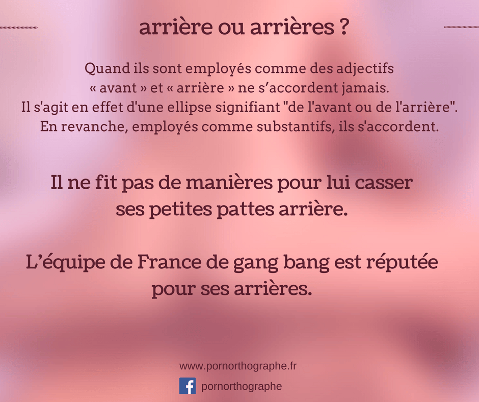 Accord de l’adjectif Le Pornorthographe.