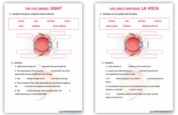 Liveworksheets.com Interactive worksheets maker for all.