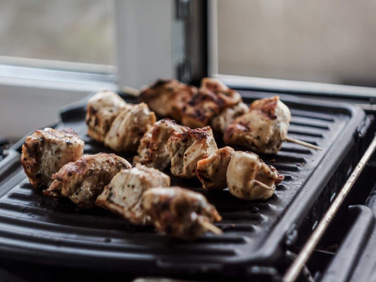 Best Portable Electric Grills Buyers Guide and FAQ Portable Grill Guide