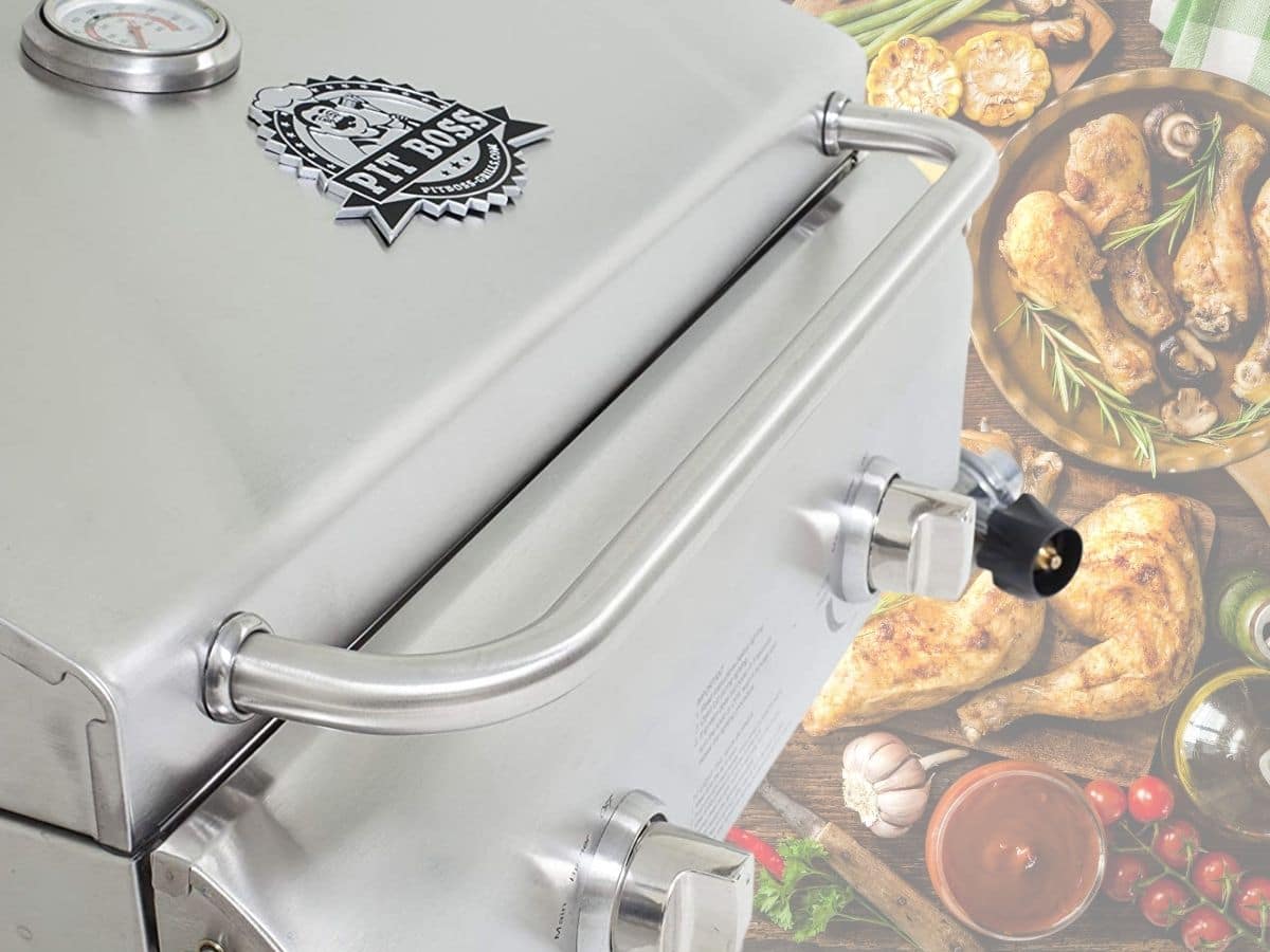 Pit Boss 75275 Stainless Steel Grill Review Portable Grill Guide