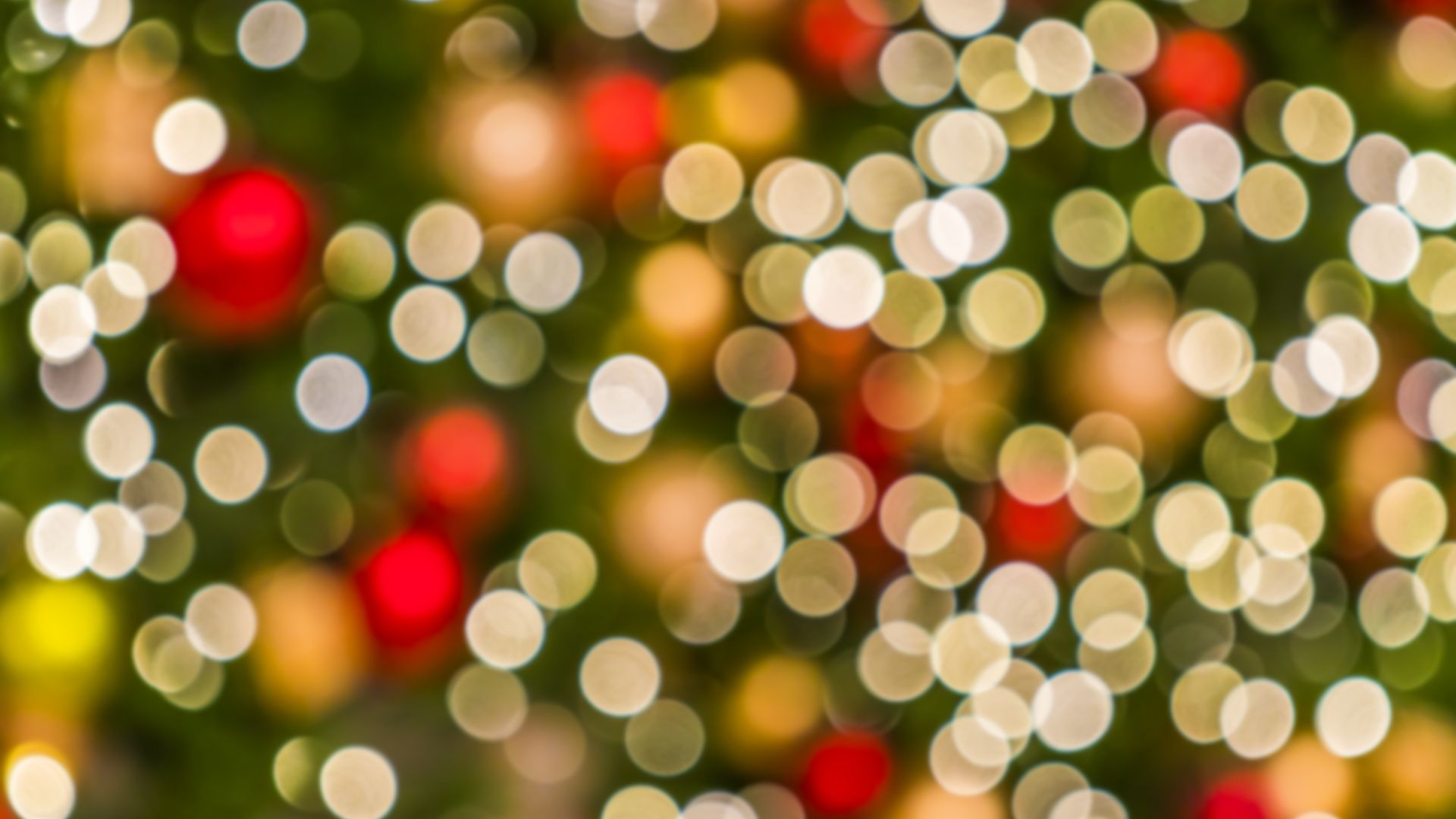 NOMA Christmas Light Not Working (6 Reasons Explained