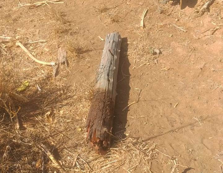 Homem fica ferido após colidir moto em esticador na zona rural de Candiba