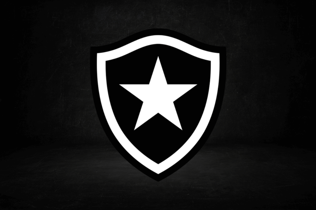 Confira a trajetória do Botafogo na história do Brasileirão Portal