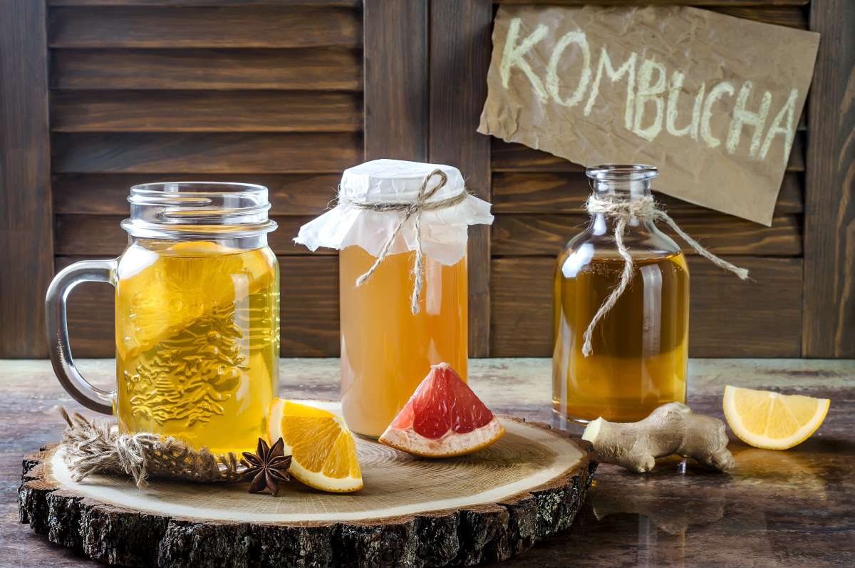 Tecnologia do Preparo da Kombucha e os seus benefícios para a saúde Portal efood Tudo sobre