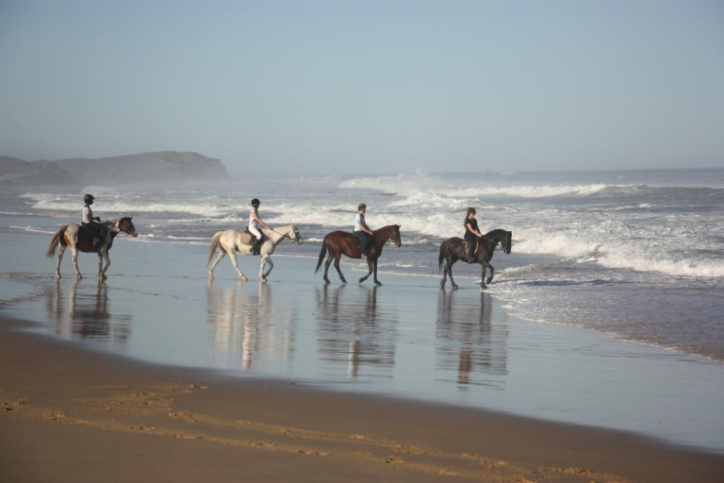 Horse Riding Port Alfred