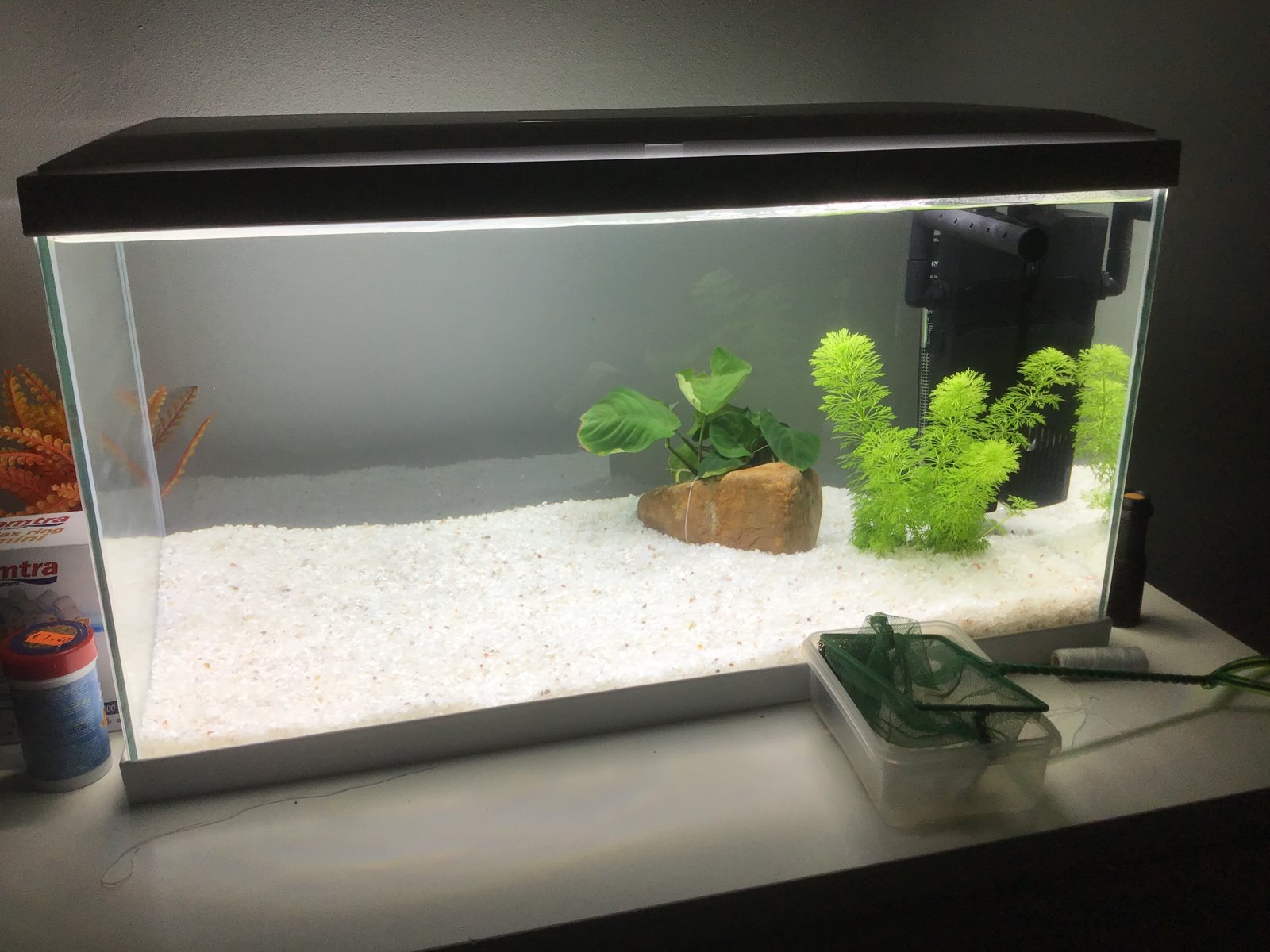 Consulta Mi primer ciclado en acuario de 60L PortalPez, acuarios