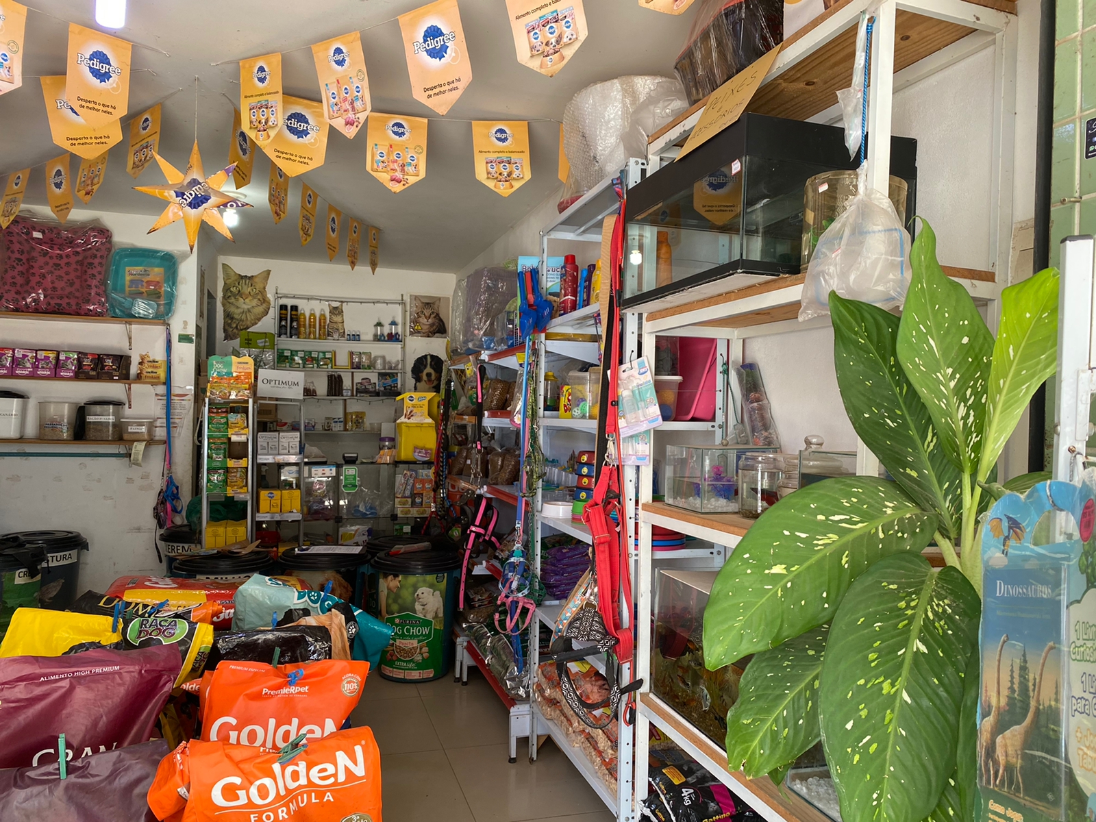 Pet Shop Bichos e Rações PORTAL VALENTINA O PORTAL OFICIAL DO BAIRRO!PORTAL VALENTINA O