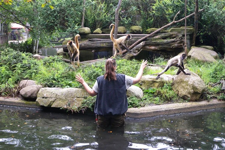 14 Things To Do In Erie, PA Port Farms