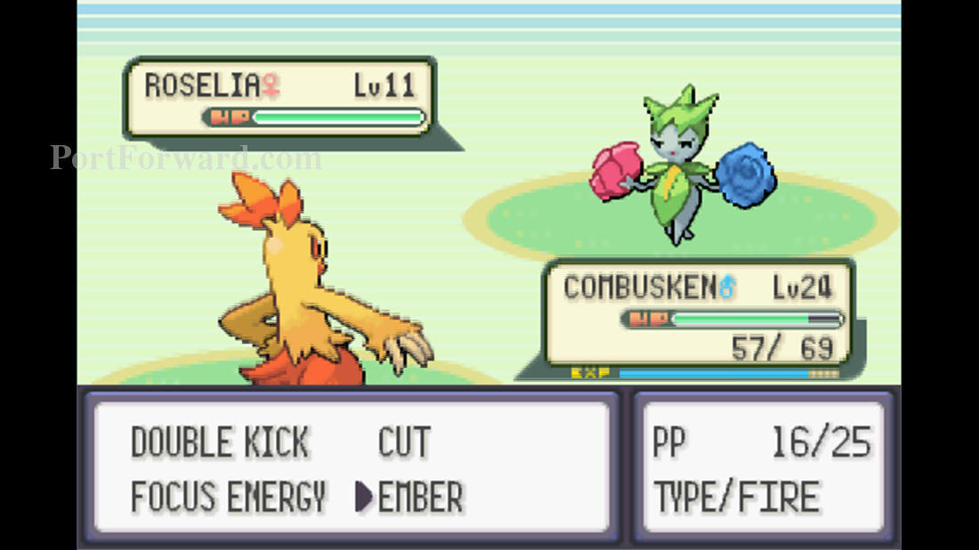 Pokemon Emerald Walkthrough Road to the Fourth Gym Route 117