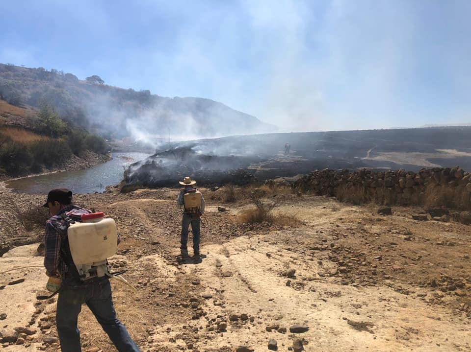 Cuatro incendios provocados en tan solo un día PÓRTICO Zacatecas