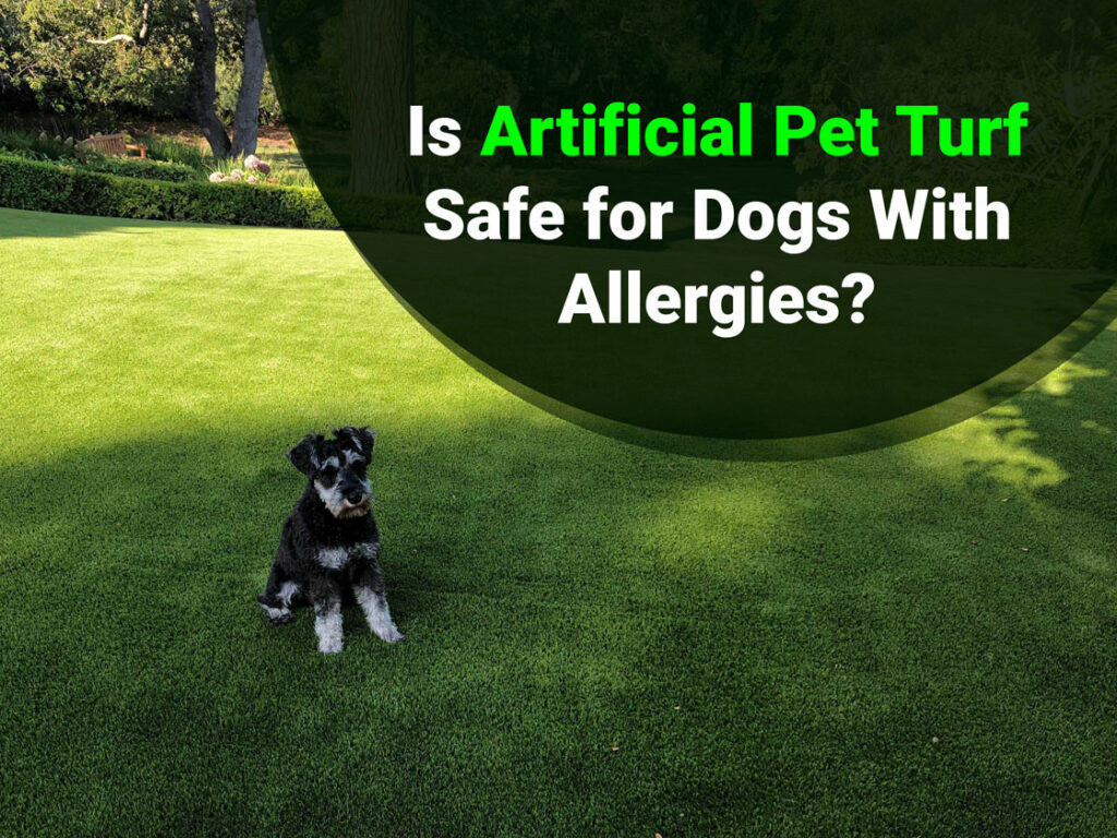 What Can You Give A Dog Who Is Allergic To Grass