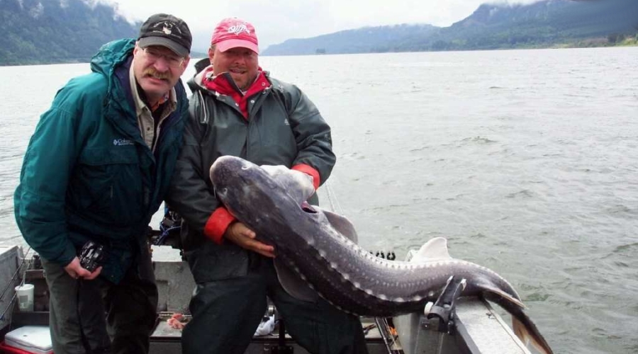 Portland Fishing Guides