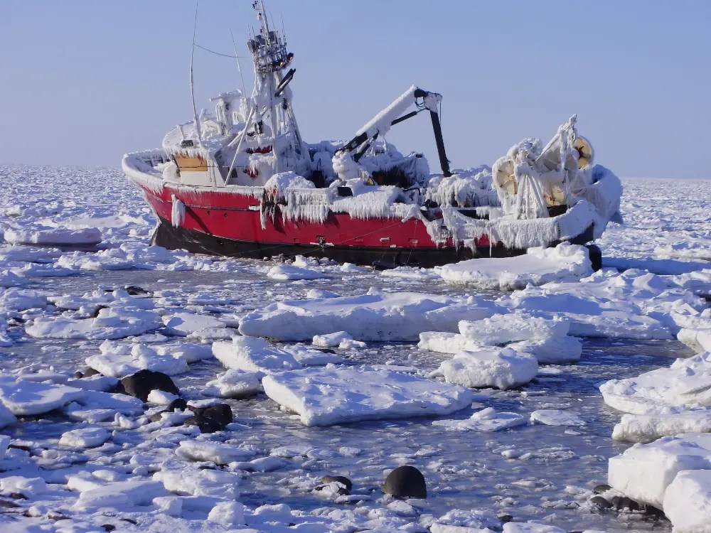 About Dan Magone Port of Refuge