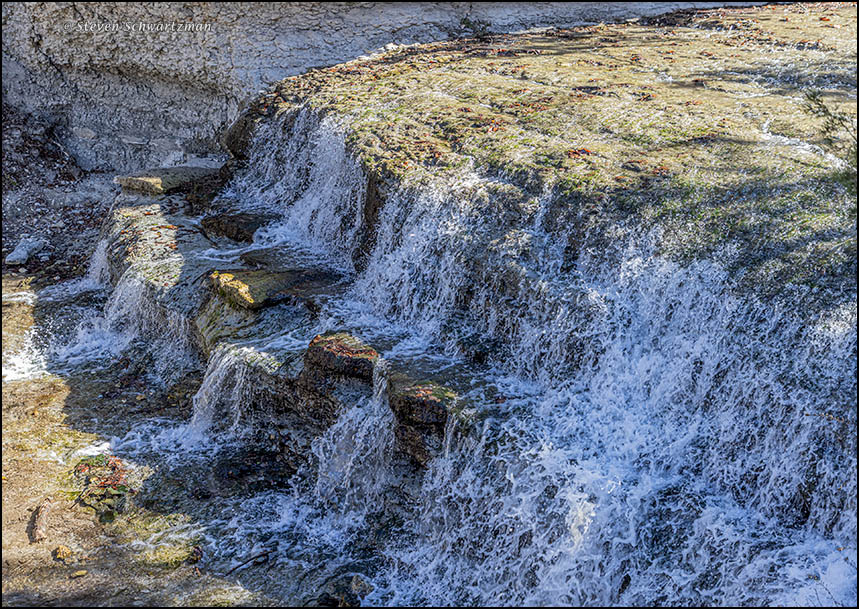 Chalk Ridge Falls Park Portraits of Wildflowers