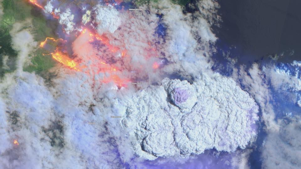 Climate Change Kills Australian Bushfires Extraordinary Satellite Images Show Devastating