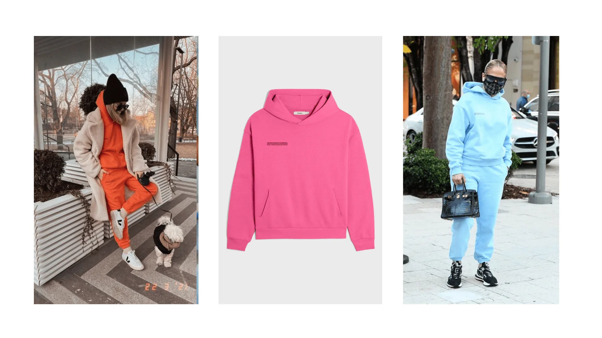 Inspirational Photos Pinterest; Hoddies Pangaia