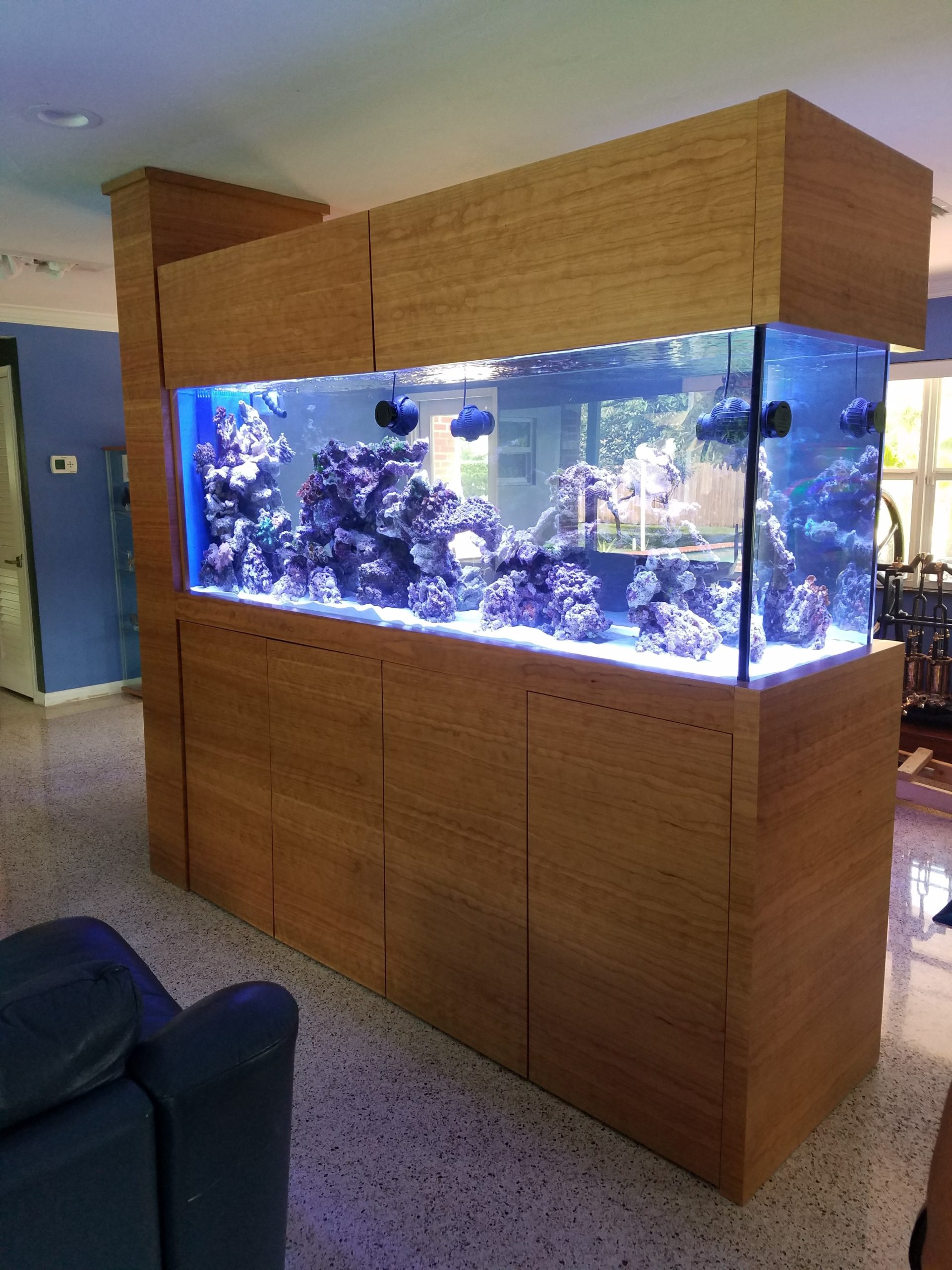 Custom Aquarium Call Poseidon Aquariums for a Free Estimate Today!