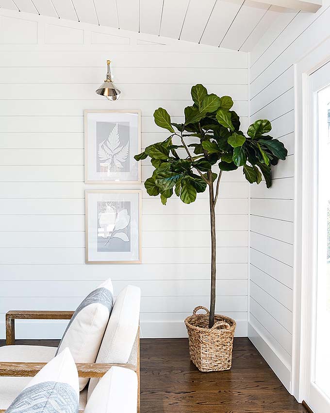 5 Faux FiddleLeaf Fig Trees That Will Save You A Fortune Posh Pennies