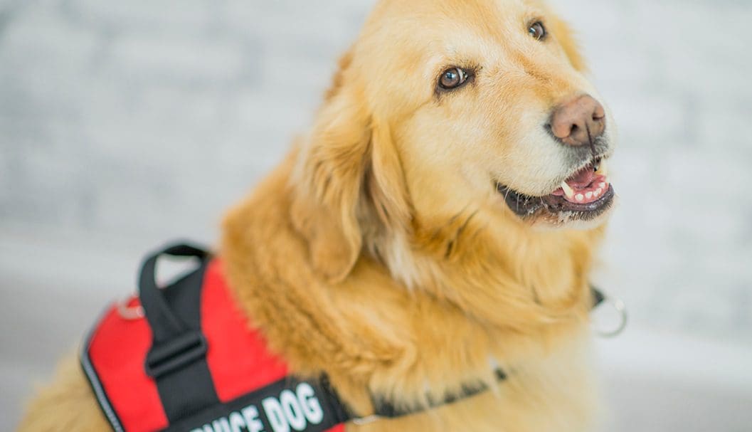 ADA, HUD, The Fair Housing Act Which One Applies to Housing and