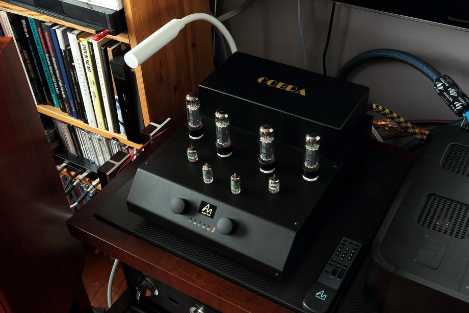 Audio Note Cobra Integrated Tube Amplifier Positive