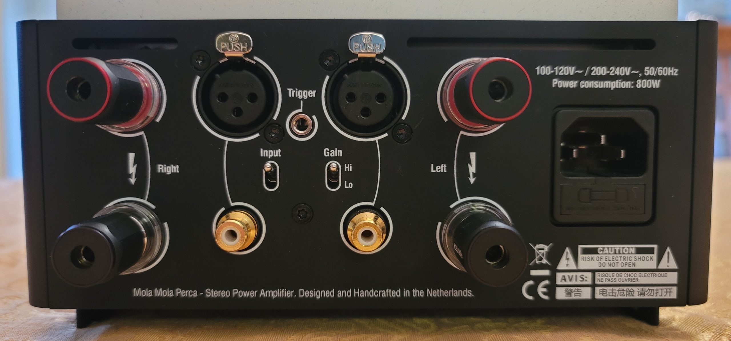 Mola Mola Perca Amplifier