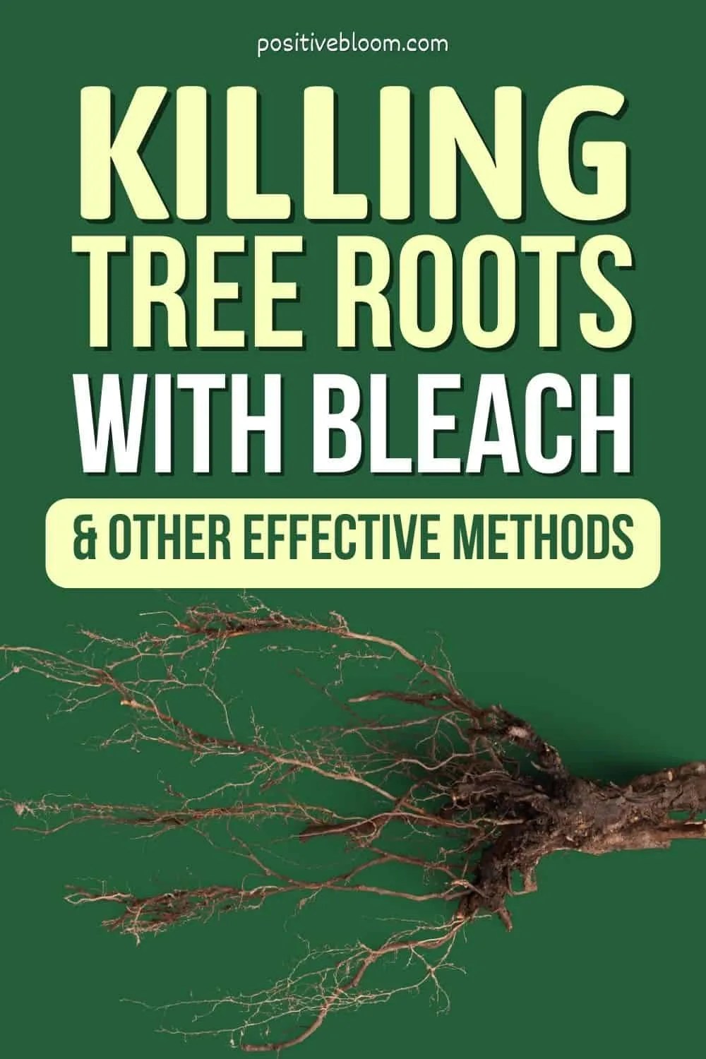 Killing Tree Roots With Bleach And Other Effective Methods