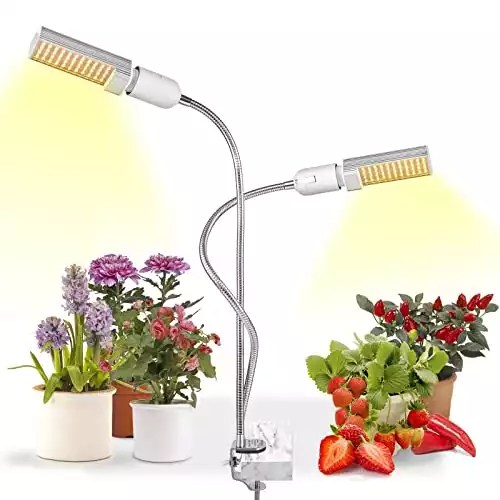 Need A Heat Lamp For Plants? Check Out Our Top 15 List