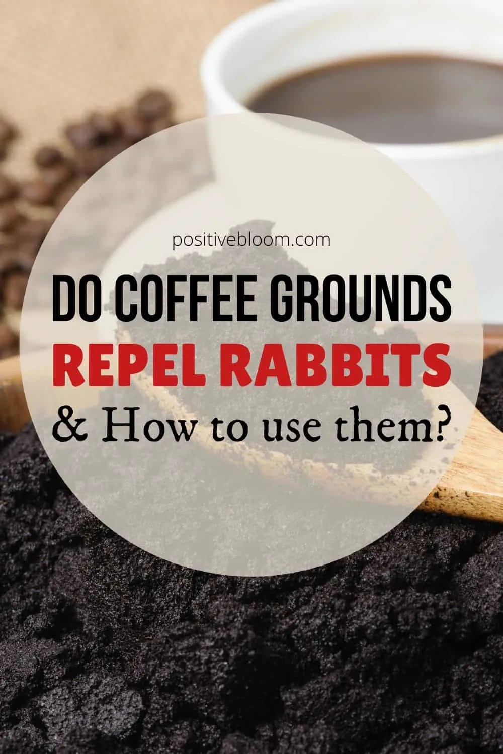 Do Coffee Grounds Repel Rabbits And How To Use Them?