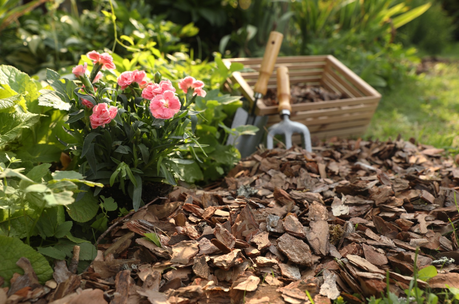 How Often Should You Replace Mulch To Keep Your Garden Thriving?
