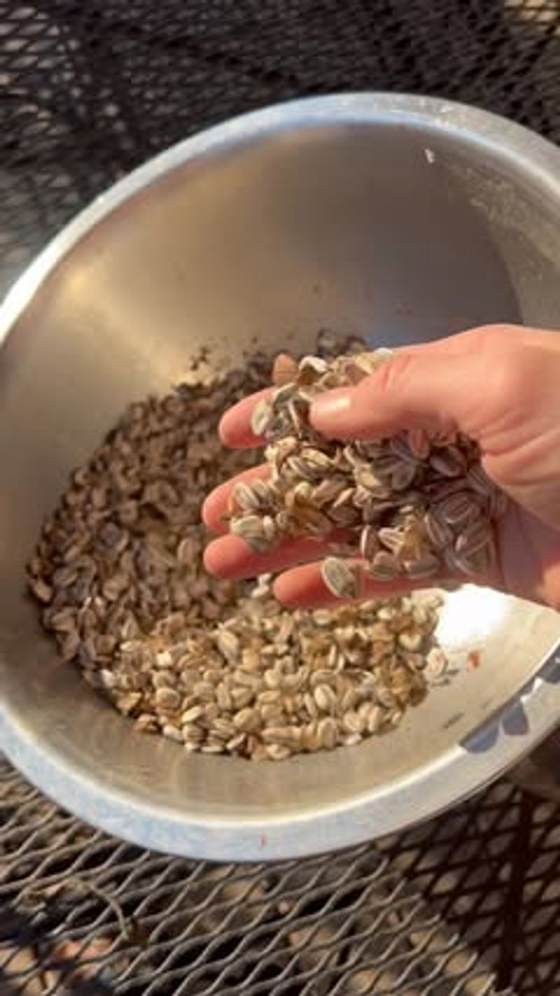 Free Seeds For Years To Come