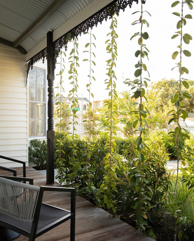 18 Ways To Bring Privacy To Your Deck (And Enjoy Summer Without Being