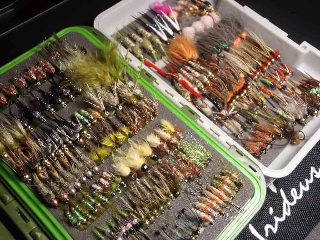 5 Best Fly Fishing Boxes For Nymphs, Dries, and Streamers