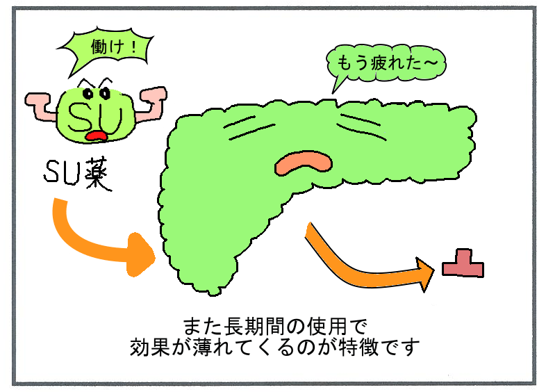 スルホニル尿素（SU）薬の特徴【薬剤師がわかりやすく説明】