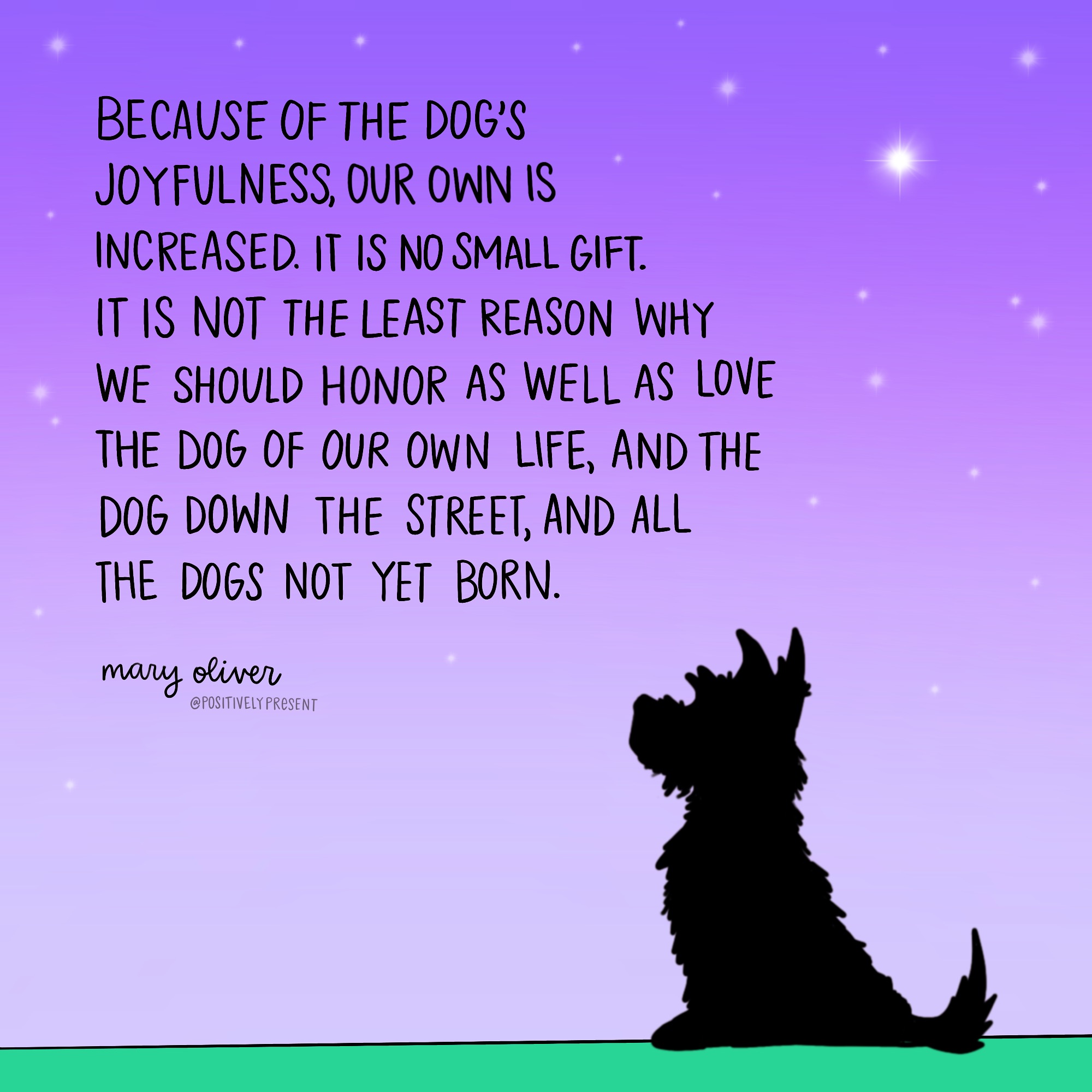 Why Do We Love Our Dogs So Much