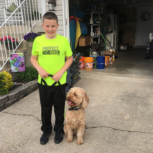 Obedience Dog Training for Voorhees, NJ Medford, NJ