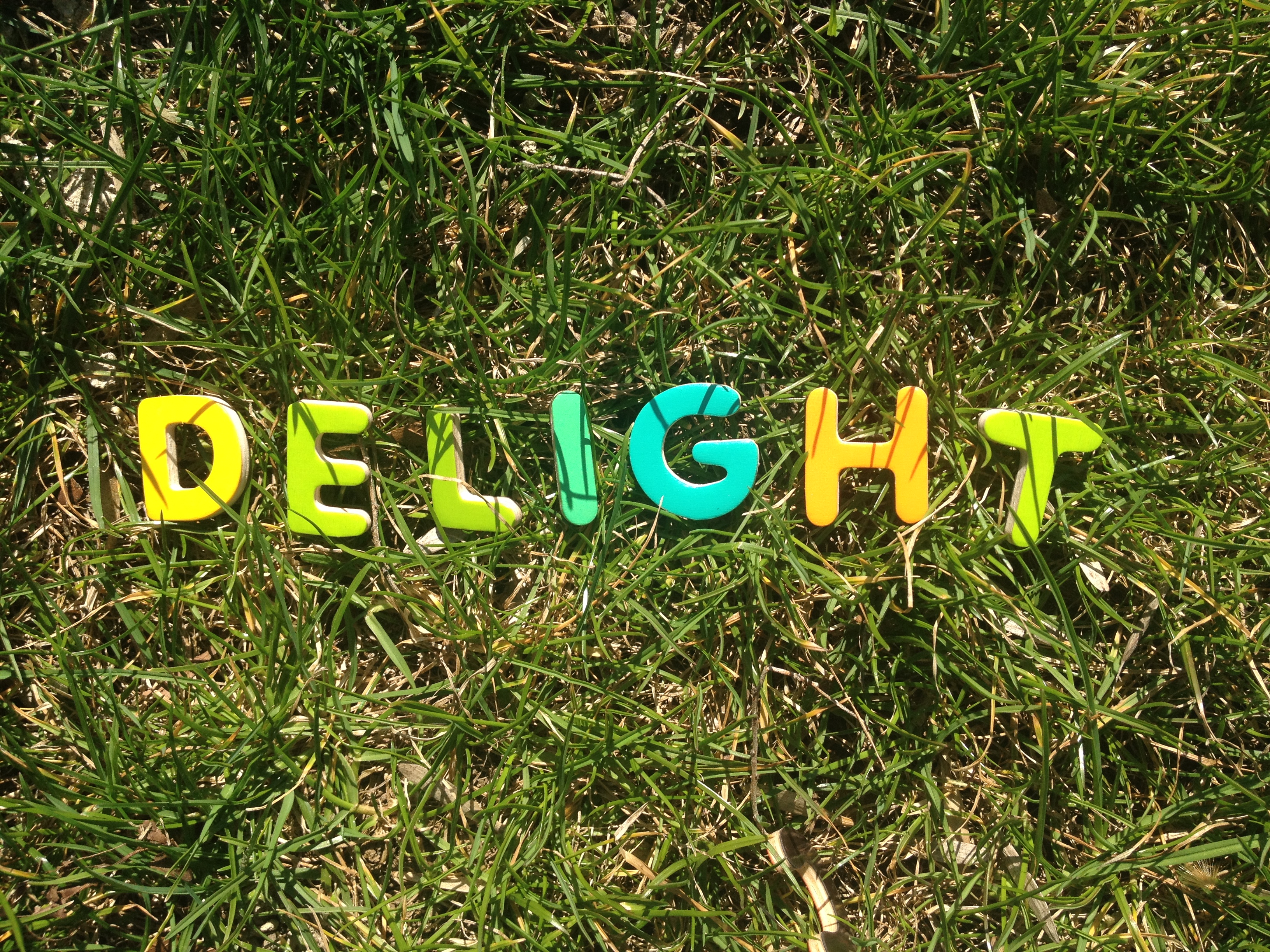 DELIGHT Positive Words Research